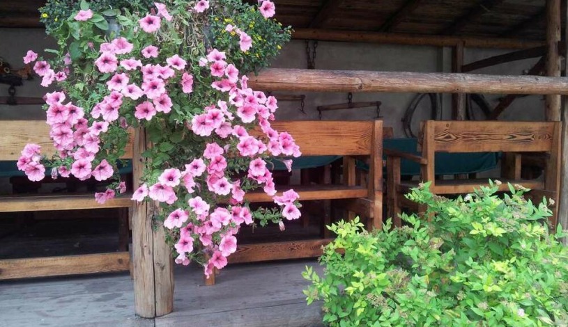 Penzion PIANO RANCH Mladá Boleslav